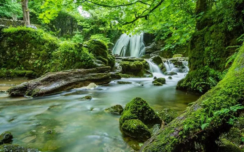 智能高效智能